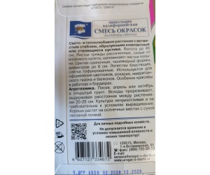ashsholcia1