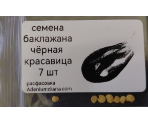 bak3