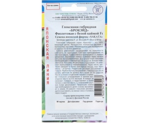 gloksiniyabr1-min