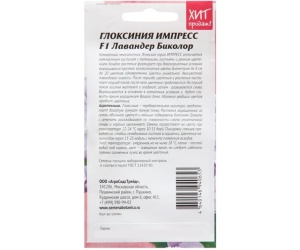 gloksiniyaimpress1-min