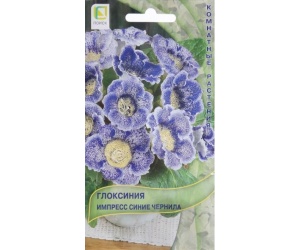 gloksiniyasch-min