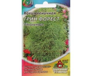 kohiya