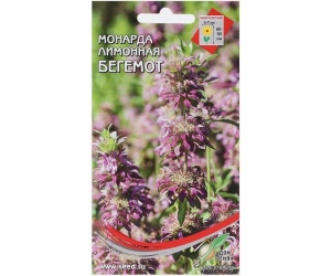 monarda