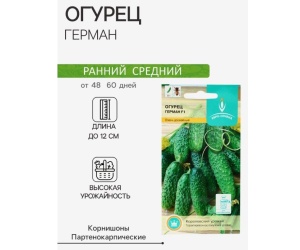 ogurecgerman8