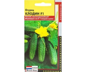 ogurecklodin