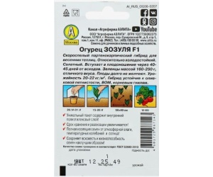 ogurzozulaa1