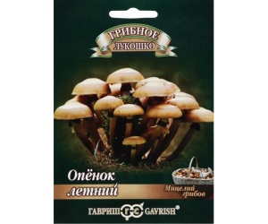 openok-min_963516416