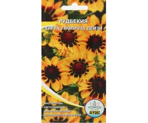 rudbekiya