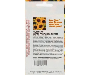 rudbekiya1