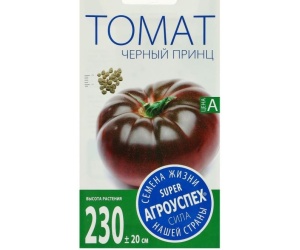 tomatchpr