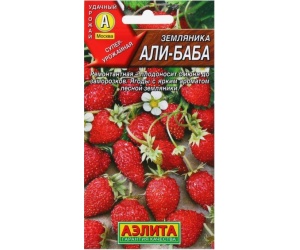 zemlalibaba