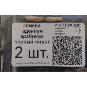 Семена адениум арабикум Черный гигант, Black Giant 2 шт. adeniumarabchg