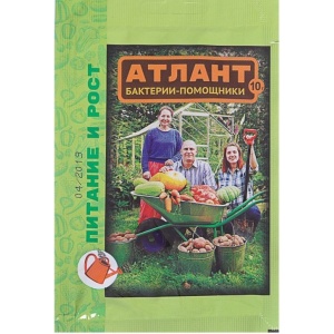 atlant