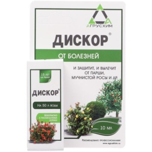 diskor