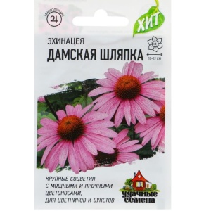 ehinaceyad-min