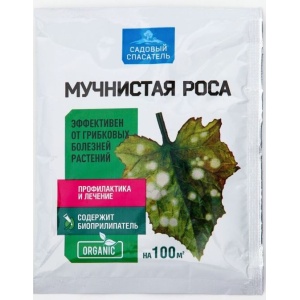 mrosa