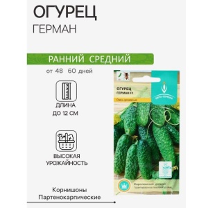 ogurecgerman8