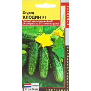 ogurecklodin