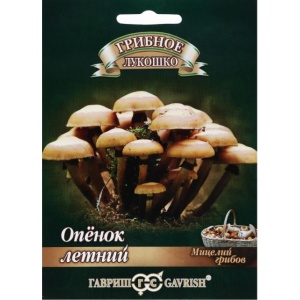 openok-min_963516416