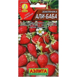 zemlalibaba