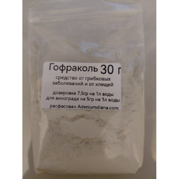 gograkol30_304281070