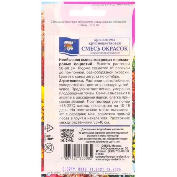 hrizantema1-min