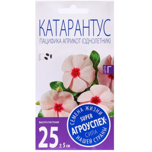 katarantuspac-min_427692943