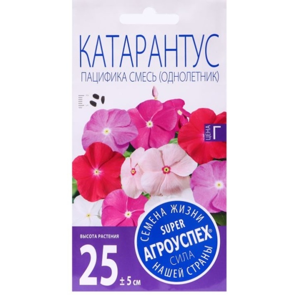 katarantuspacc-min