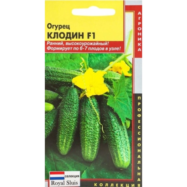 ogurecklodin