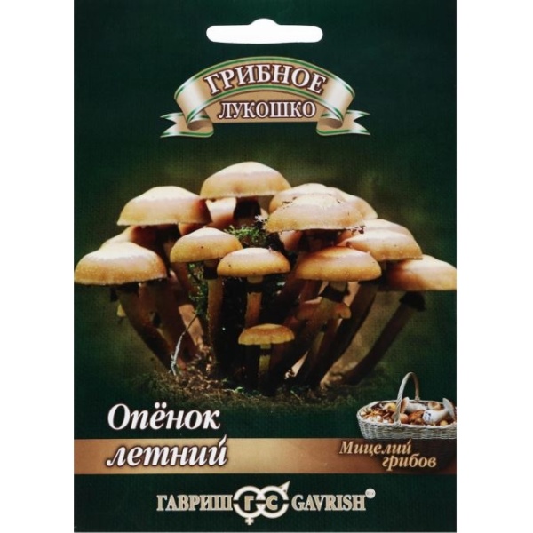 openok-min_963516416