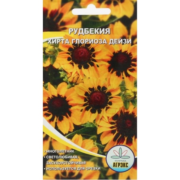 rudbekiya