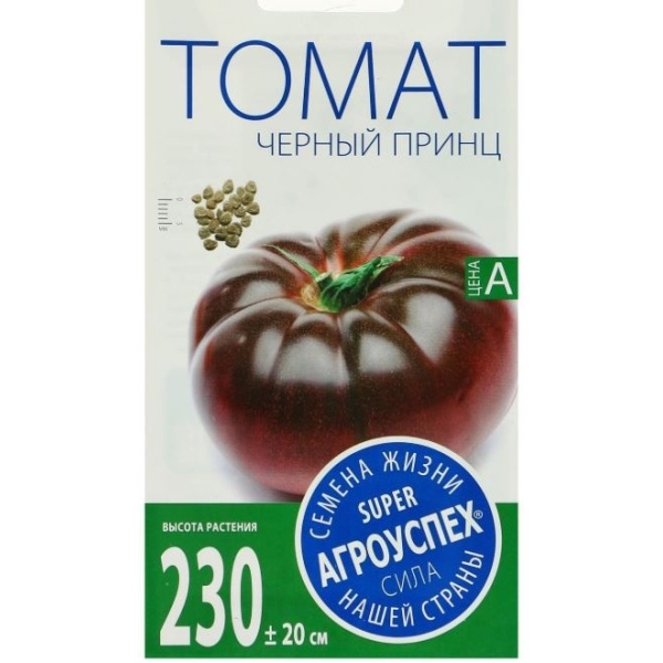 tomatchpr