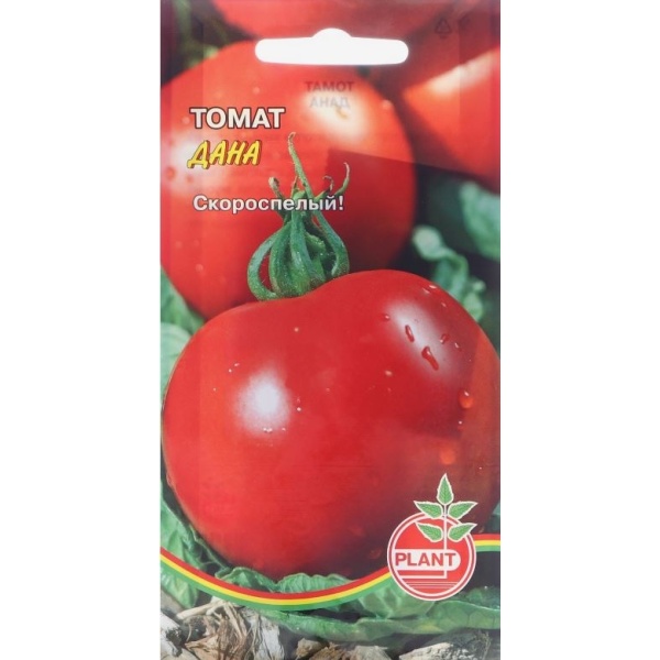 tomatdana