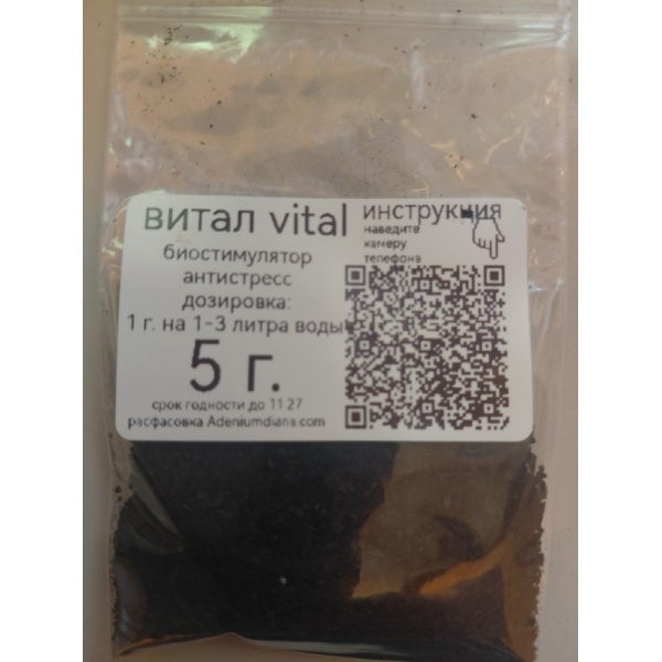 vital5_527672784
