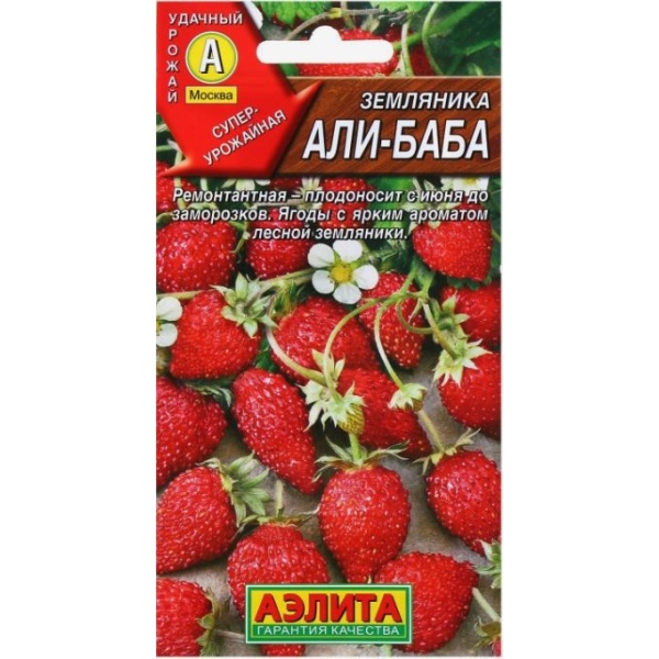zemlalibaba